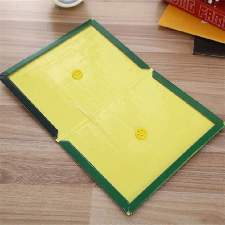 35g glue mouse trap