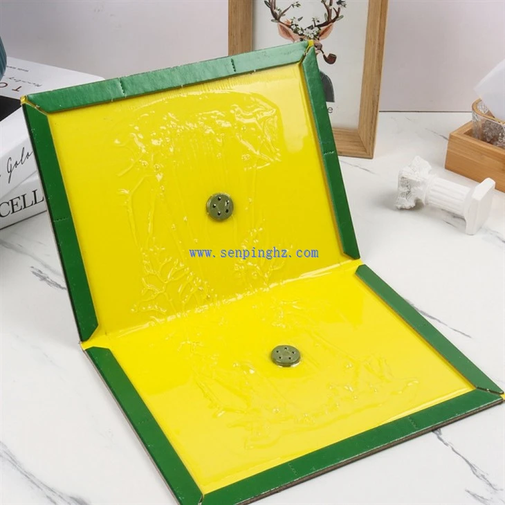 RODENT GLUE TRAP BOARDS